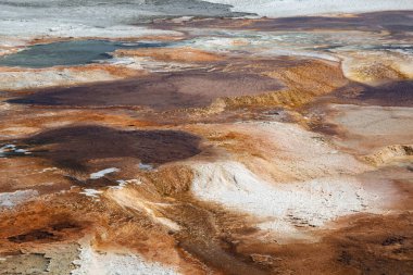 Mamut Sıcak Bahar Yellowstone Ulusal Parkı