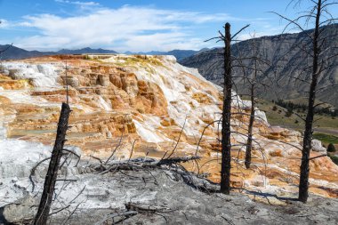 Mamut Sıcak Bahar Yellowstone Ulusal Parkı