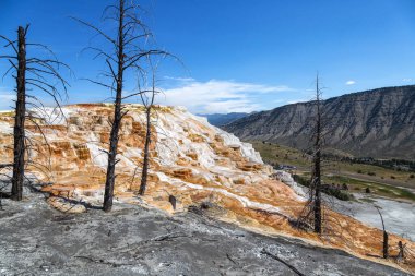 Mamut Kaplıcaları Yellowstone Ulusal Parkı