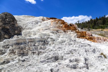 Mamut Kaplıcaları Yellowstone Ulusal Parkı