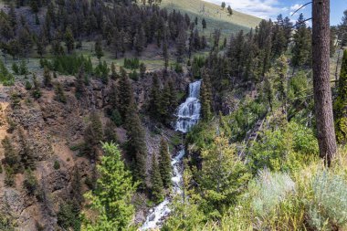Grand canyon yellowstone Milli Parkı
