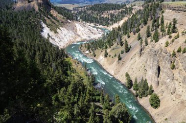 Grand canyon yellowstone Milli Parkı