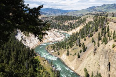 Grand canyon yellowstone Milli Parkı