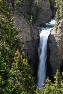 Grand canyon yellowstone Milli Parkı