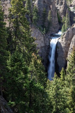 Grand canyon yellowstone Milli Parkı
