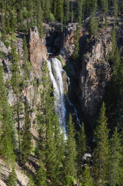 Grand canyon yellowstone Milli Parkı