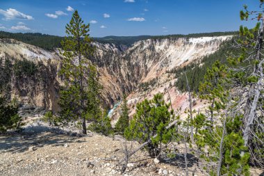 Grand canyon yellowstone Milli Parkı