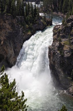 Grand canyon yellowstone Milli Parkı