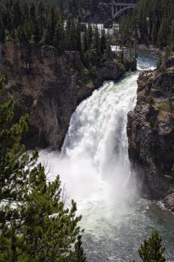 Grand canyon yellowstone Milli Parkı