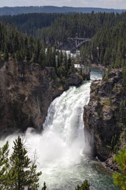Grand canyon yellowstone Milli Parkı