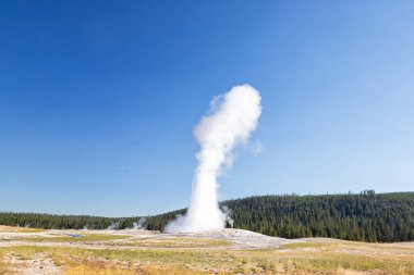 Eski sadık Şofben, Yellowstone Milli Parkı