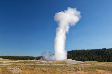 Eski sadık Şofben, Yellowstone Milli Parkı