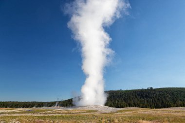 Eski sadık Şofben, Yellowstone Milli Parkı