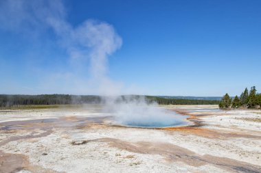 Gayzer Havzası Yellowstone Milli Parkı'nda