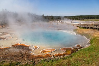 Gayzer Havzası Yellowstone Milli Parkı'nda