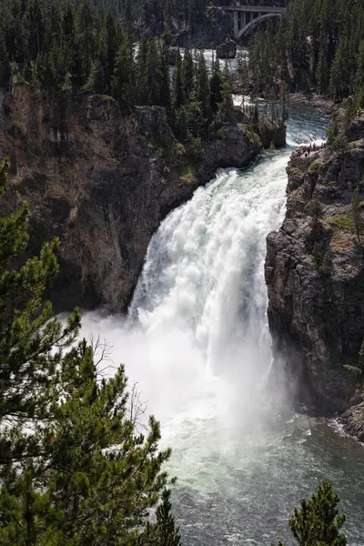 Grand canyon yellowstone Milli Parkı