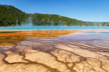 Yellowstone Ulusal Parkı 'nda Büyük Prismatik Bahar