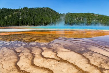 Yellowstone Ulusal Parkı 'nda Büyük Prismatik Bahar