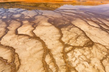 Yellowstone Ulusal Parkı 'nda Büyük Prismatik Bahar