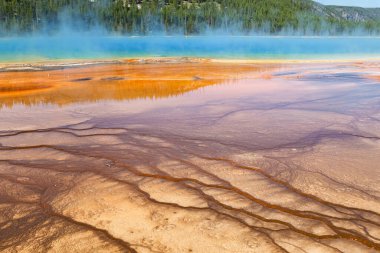 Yellowstone Ulusal Parkı 'nda Büyük Prismatik Bahar