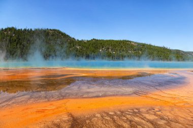 Yellowstone Ulusal Parkı 'nda Büyük Prismatik Bahar