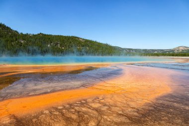 Yellowstone Ulusal Parkı 'nda Büyük Prismatik Bahar