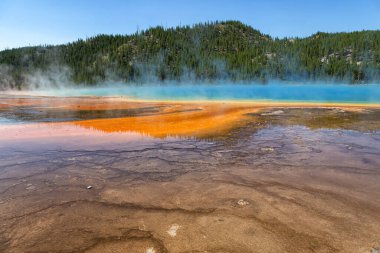 Yellowstone Ulusal Parkı 'nda Büyük Prismatik Bahar