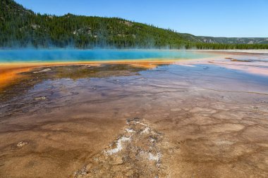 Yellowstone Ulusal Parkı 'nda Büyük Prismatik Bahar