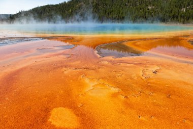 Yellowstone Ulusal Parkı 'nda Büyük Prismatik Bahar
