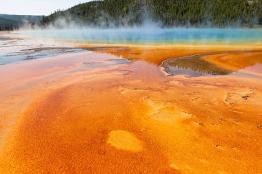 Yellowstone Ulusal Parkı 'nda Büyük Prismatik Bahar