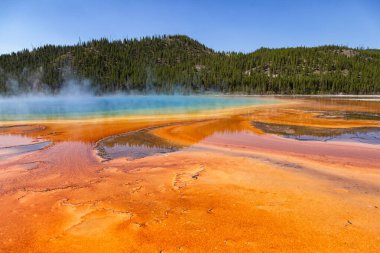 Yellowstone Ulusal Parkı 'nda Büyük Prismatik Bahar