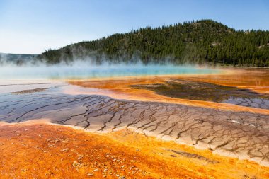 Yellowstone Ulusal Parkı 'nda Büyük Prismatik Bahar