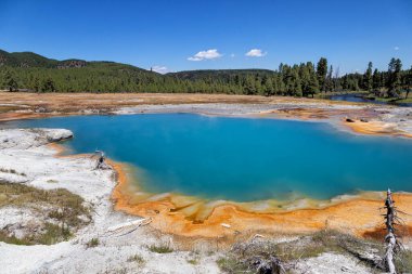 Gayzer Havzası Yellowstone Milli Parkı'nda