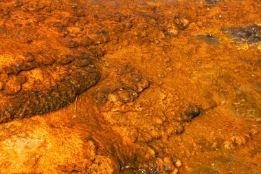 Gayzer Havzası Yellowstone Milli Parkı'nda