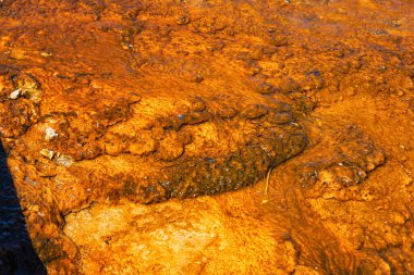 Gayzer Havzası Yellowstone Milli Parkı'nda