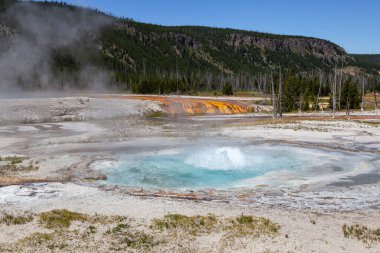 Gayzer Havzası Yellowstone Milli Parkı'nda