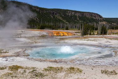 Gayzer Havzası Yellowstone Milli Parkı'nda