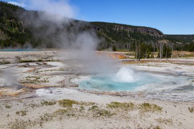Gayzer Havzası Yellowstone Milli Parkı'nda