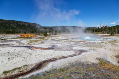 Gayzer Havzası Yellowstone Milli Parkı'nda