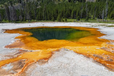 Gayzer Havzası Yellowstone Milli Parkı'nda