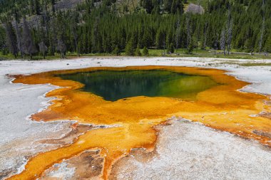 Gayzer Havzası Yellowstone Milli Parkı'nda