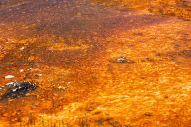 Gayzer Havzası Yellowstone Milli Parkı'nda