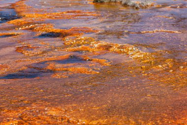Gayzer Havzası Yellowstone Milli Parkı'nda