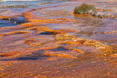 Gayzer Havzası Yellowstone Milli Parkı'nda