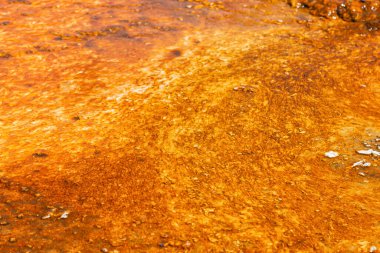 Gayzer Havzası Yellowstone Milli Parkı'nda