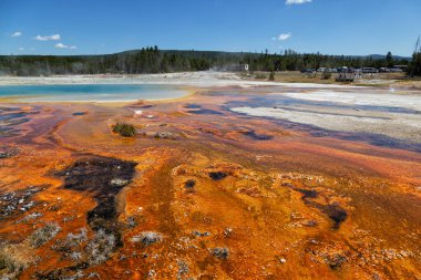 Gayzer Havzası Yellowstone Milli Parkı'nda