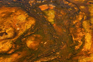 Gayzer Havzası Yellowstone Milli Parkı'nda