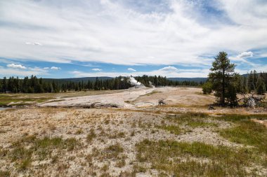 Gayzer Havzası Yellowstone Milli Parkı'nda