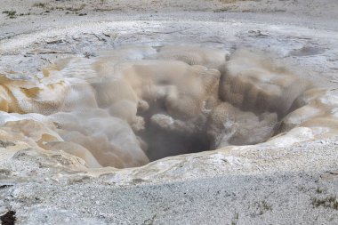 Gayzer Havzası Yellowstone Milli Parkı'nda