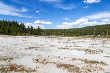 Gayzer Havzası Yellowstone Milli Parkı'nda